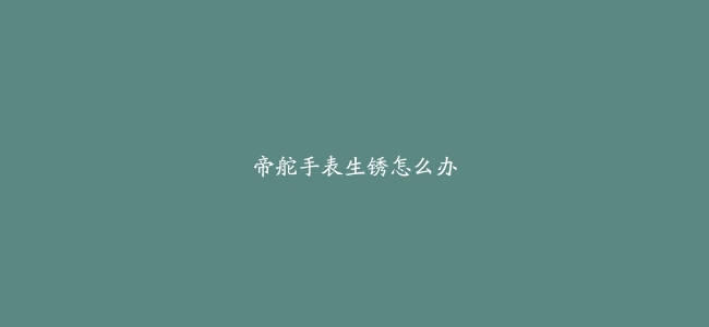 帝舵手表生锈怎么办