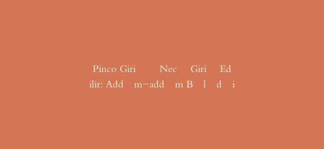 Pinco Girişə Necə Giriş Edilir: Addım-addım Bələdçi