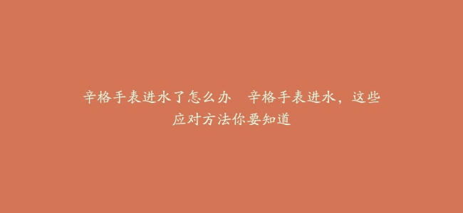 辛格手表进水了怎么办--辛格手表进水，这些应对方法你要知道