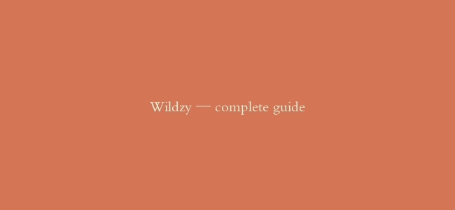 Wildzy — complete guide