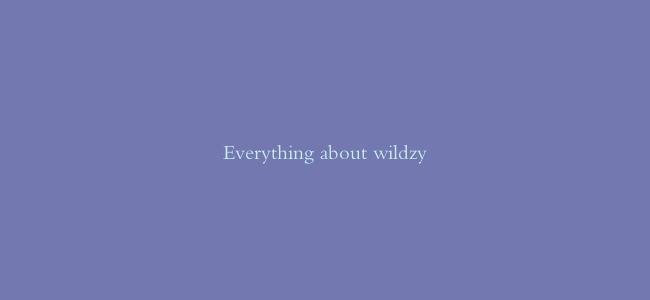 Everything about wildzy