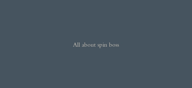 All about spin boss