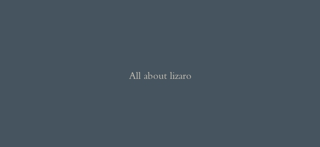 All about lizaro