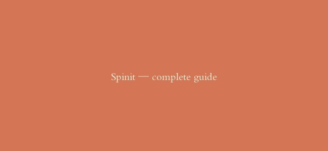 Spinit — complete guide缩略图 Spinit — complete guide