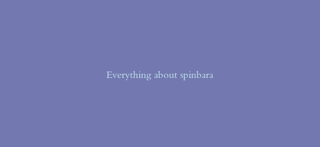 Everything about spinbara