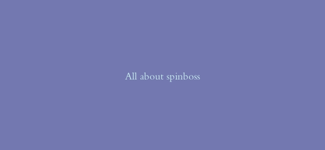 All about spinboss