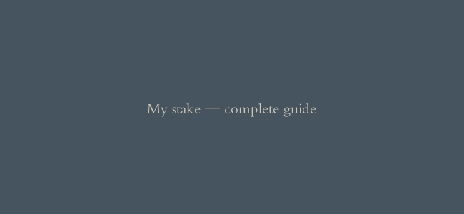My stake — complete guide