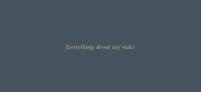 Everything about my stake缩略图 Everything about my stake
