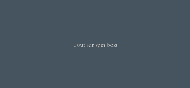 Tout sur spin boss