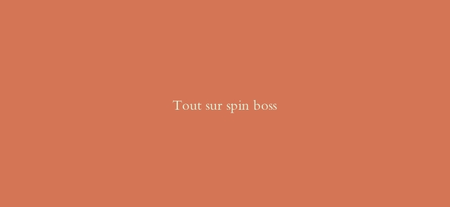 Tout sur spin boss
