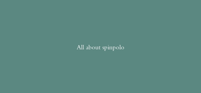 All about spinpolo
